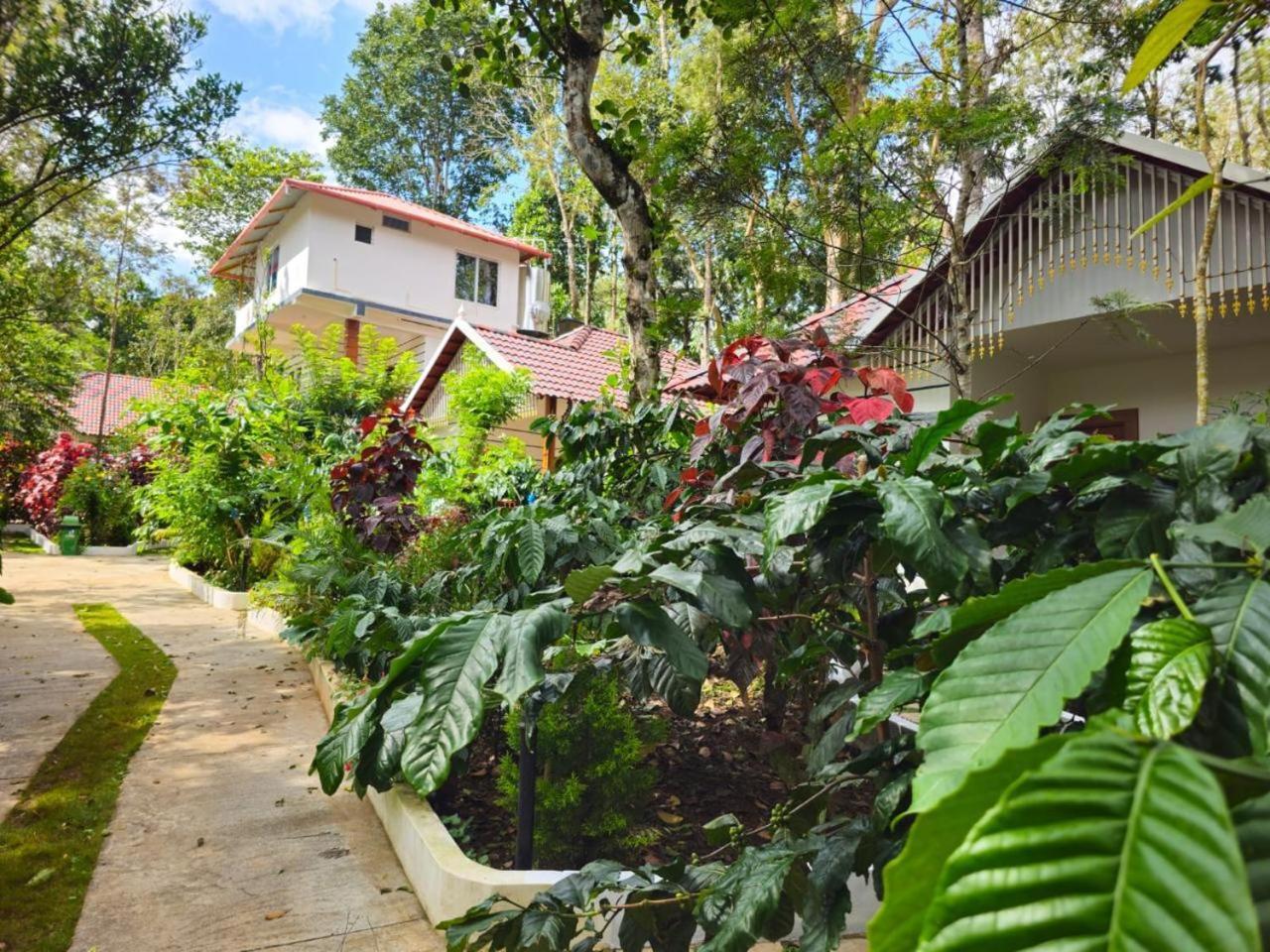 Coorg Orange Blossom Resort And Spa Suntikoppa ภายนอก รูปภาพ