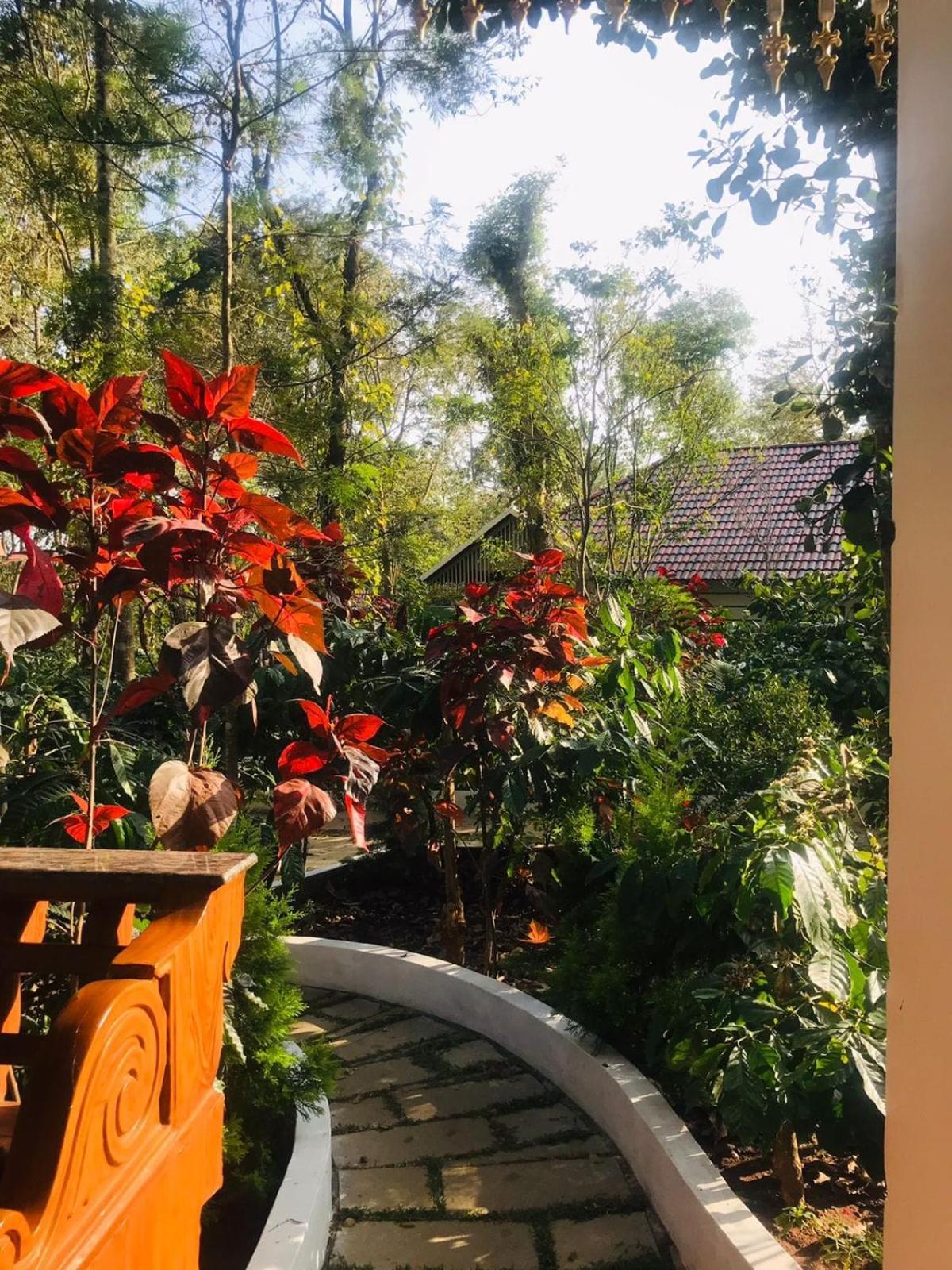 Coorg Orange Blossom Resort And Spa Suntikoppa ภายนอก รูปภาพ